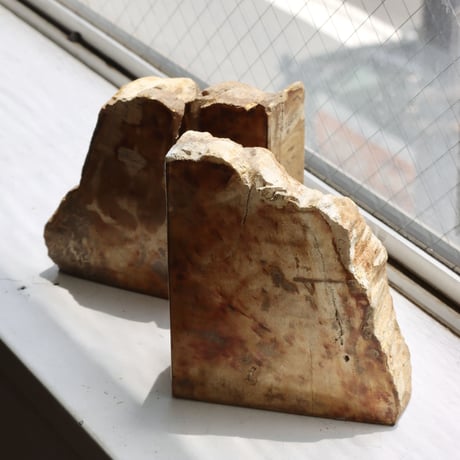 " OAK ” Petrified Wood Bookend - M #004