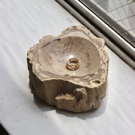 " OAK ” Petrified Wood Accessory Tray - S #431