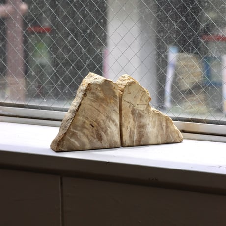 " OAK ” Petrified Wood Bookend - S #002