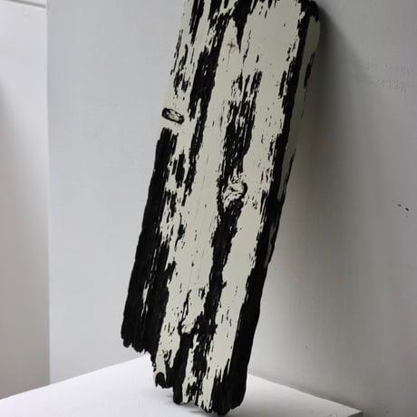 " Daiki Tado " Nature or Nurture