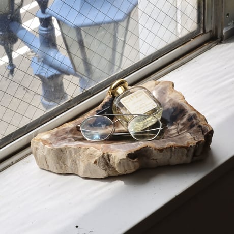 " OAK ” Petrified Wood Accessory Tray - M #415