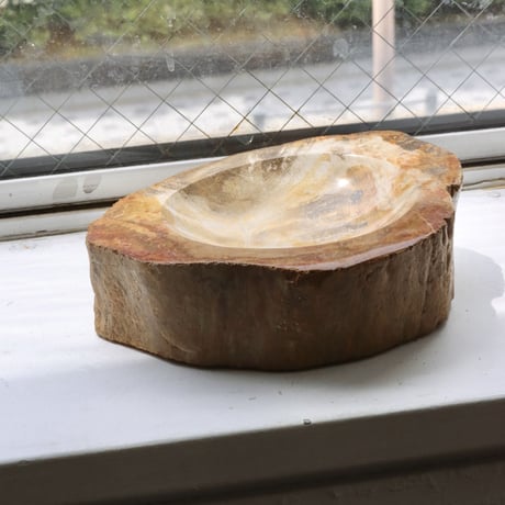 " OAK ” Petrified Wood Accessory Tray - M #402