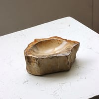 " OAK ” Petrified Wood Accessory Tray - S #417