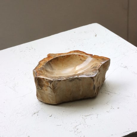 " OAK ” Petrified Wood Accessory Tray - S #417