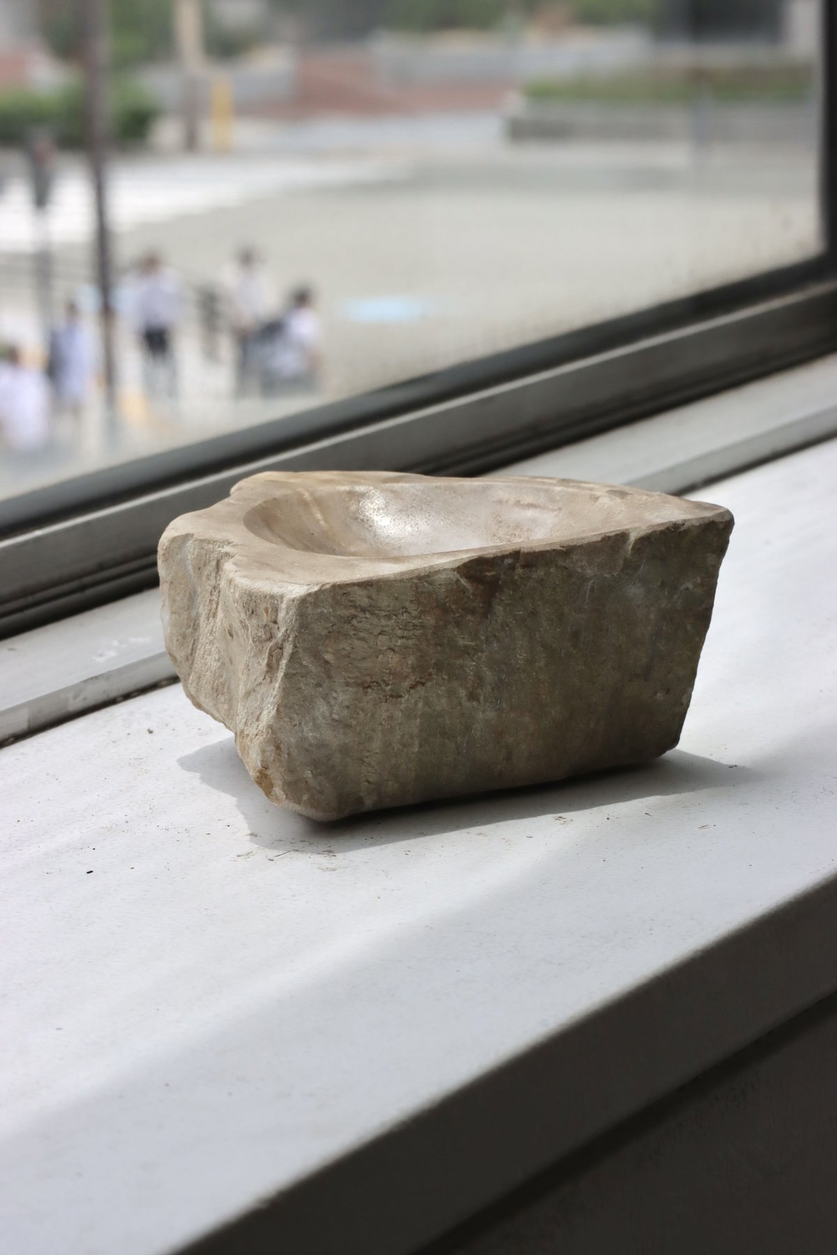 OAK ” Petrified Wood Accessory Tray - S #441