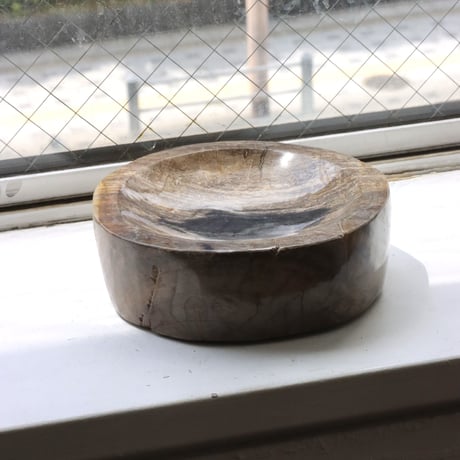 " OAK ” Petrified Wood Accessory Tray - M #414
