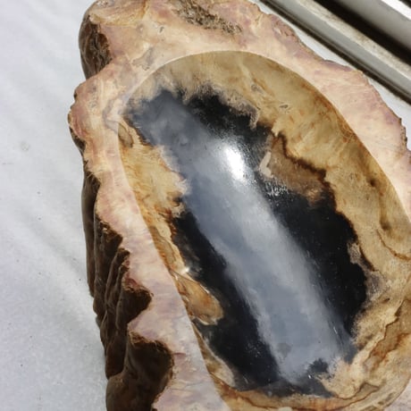 " OAK ” Petrified Wood Accessory Tray - M #403