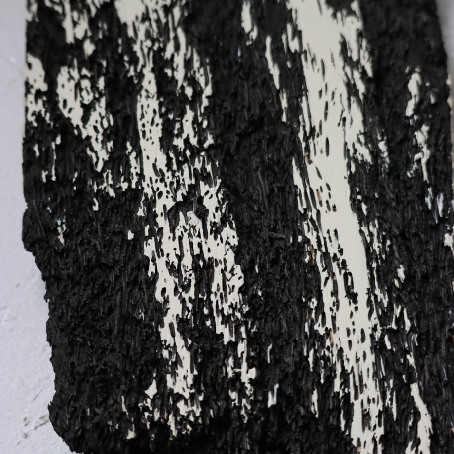 66e53c6524c2f434652c9ff6
