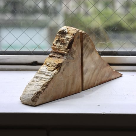 " OAK ” Petrified Wood Bookend - S #003