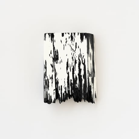 " Daiki Tado " Nature or Nurture