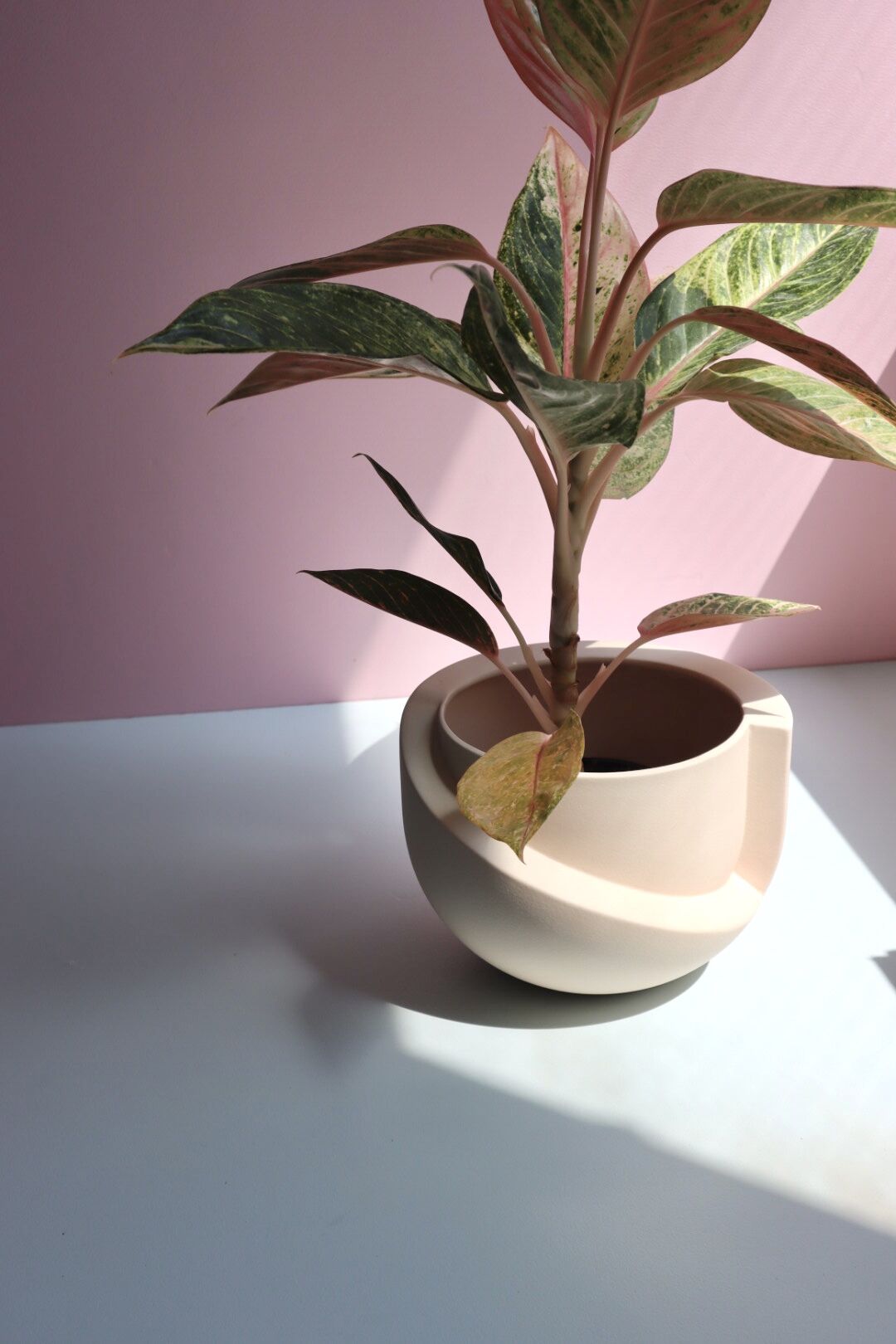 Light&Ladder VAYU planter 鉢 プランター Light&Ladder VAYU planter 鉢 プランター