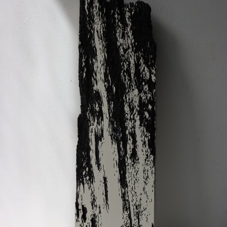 " Daiki Tado " Nature or Nurture