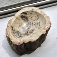 " OAK ” Petrified Wood Accessory Tray - S  #410