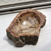 " OAK ” Petrified Wood Accessory Tray - S  #422