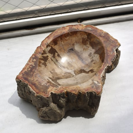 " OAK ” Petrified Wood Accessory Tray - S  #422