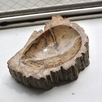 " OAK ” Petrified Wood Accessory Tray - M #409