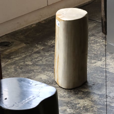 " OAK ” Petrified Wood Stool #003