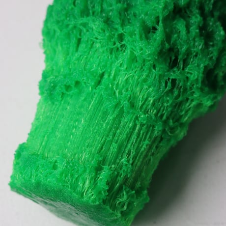 "Tact Inoue" Polybroccoli - M -  197g