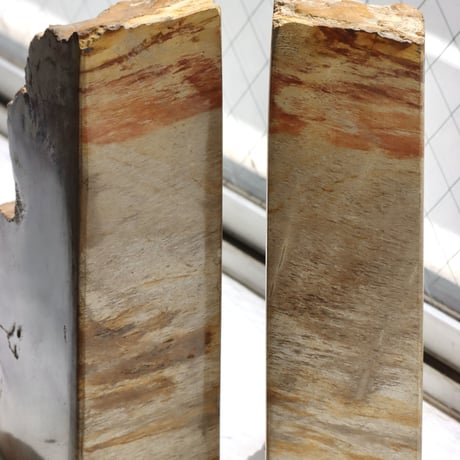 " OAK ” Petrified Wood Bookend - M #001