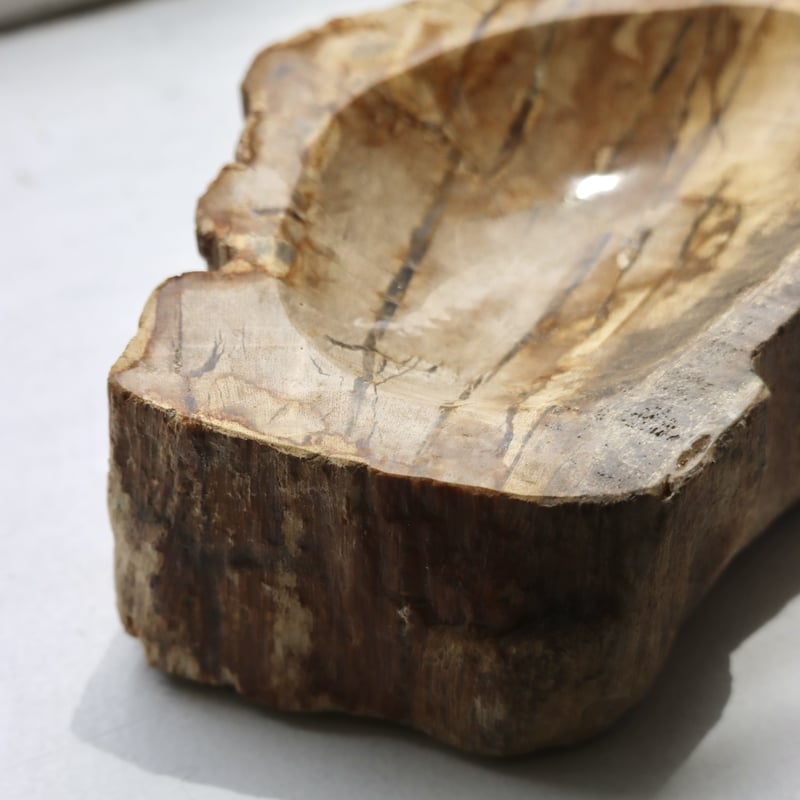 OAK ” Petrified Wood Accessory Tray - S #427
