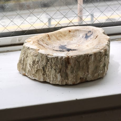 " OAK ” Petrified Wood Accessory Tray - M #418