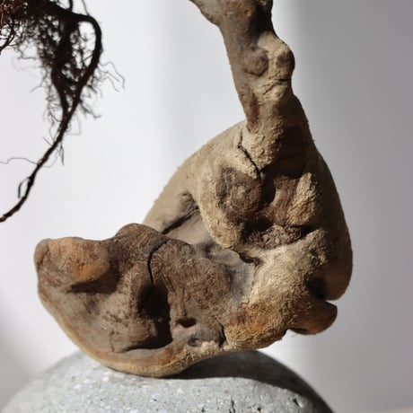 " KELEN OBJECT ” KON - S no.133