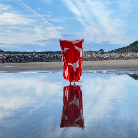 " VOLVER ” XL beach towel -BRIC