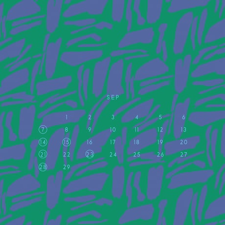 " ASENDADA " 2025 CALENDAR