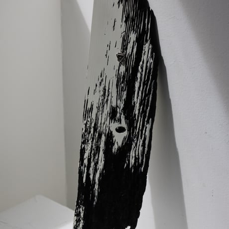 " Daiki Tado " Nature or Nurture