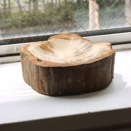 " OAK ” Petrified Wood Accessory Tray - S  #419