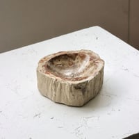 " OAK ” Petrified Wood Accessory Tray - S #420