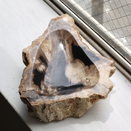 " OAK ” Petrified Wood Accessory Tray - M #415
