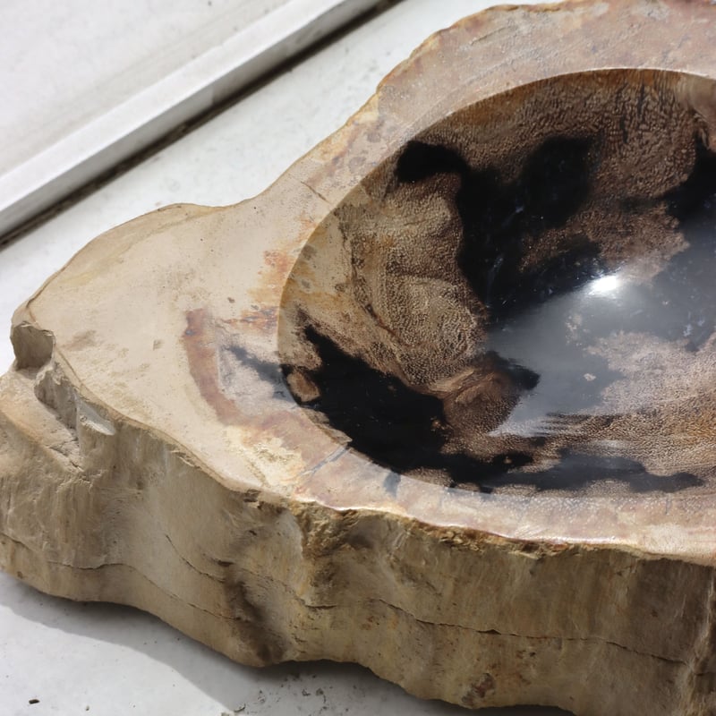 OAK ” Petrified Wood Accessory Tray - S #442
