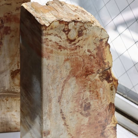 " OAK ” Petrified Wood Bookend - M #001