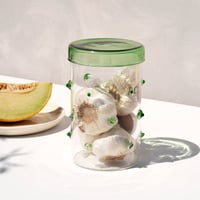 "OCTAEVO" Agave Glass Container Large