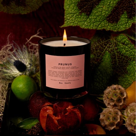 "Boy Smells"  PRUNUS