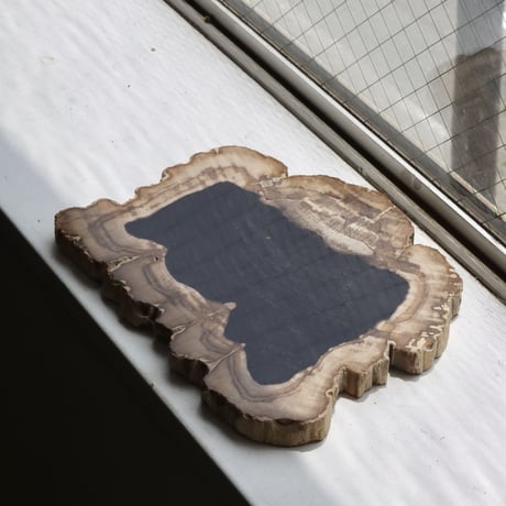 " OAK ” Petrified Wood Plate - M #101