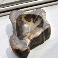 " OAK ” Petrified Wood Accessory Tray - S  #423