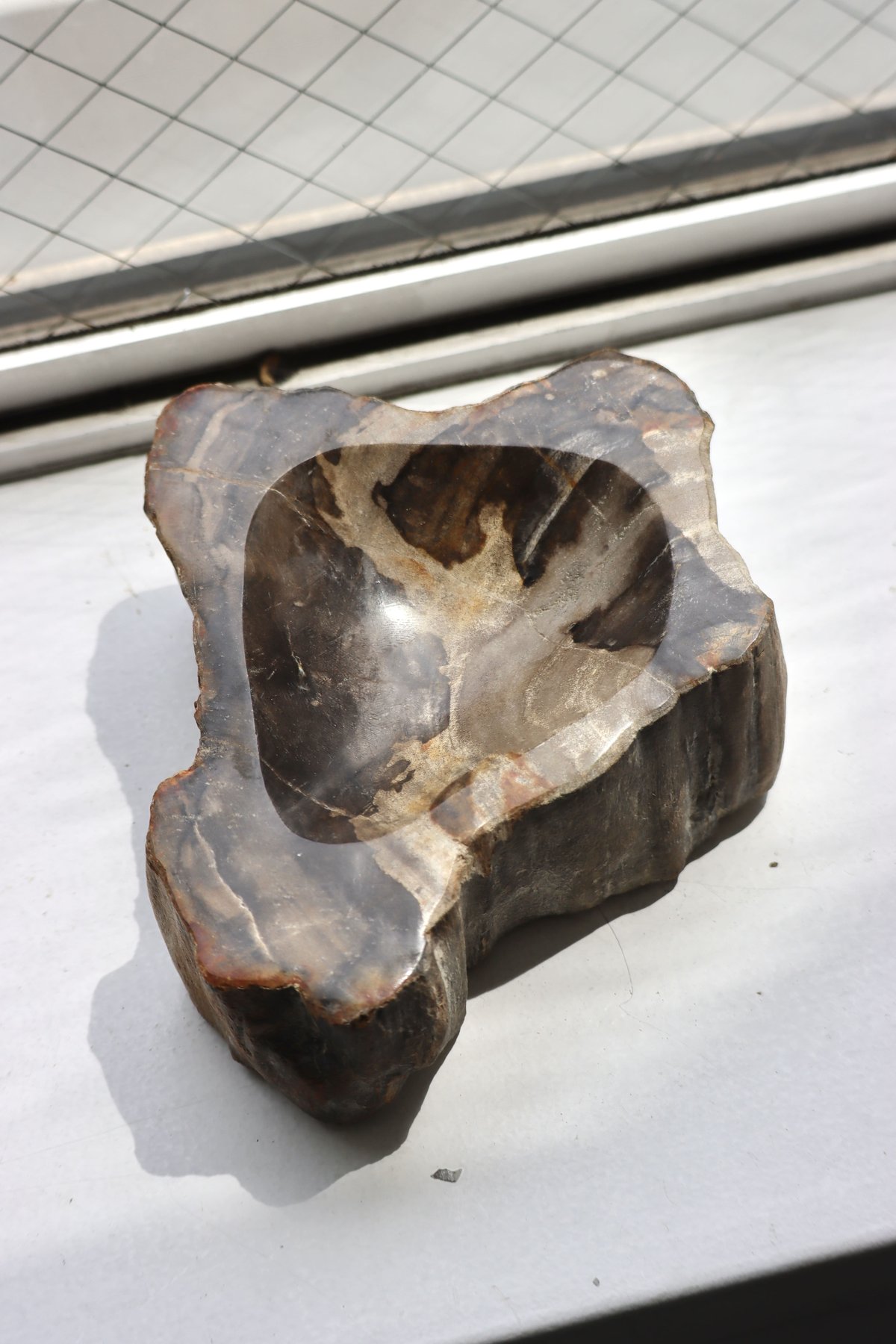 OAK ” Petrified Wood Accessory Tray - S #423