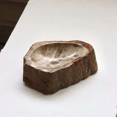 " OAK ” Petrified Wood Accessory Tray - S #444