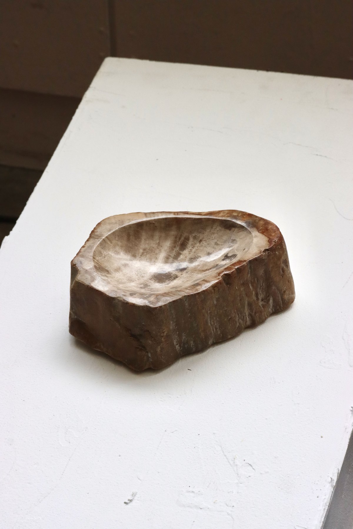 OAK ” Petrified Wood Accessory Tray - S #444