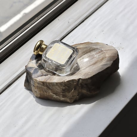 " OAK ” Petrified Wood Accessory Tray - M #445