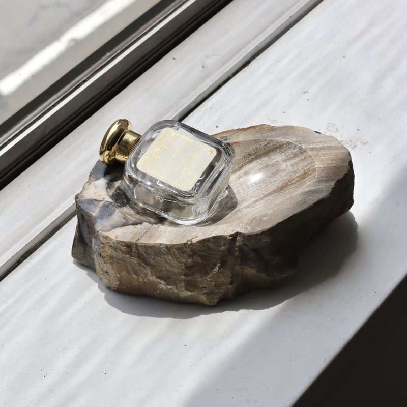 OAK ” Petrified Wood Accessory Tray - M #445