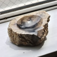" OAK ” Petrified Wood Accessory Tray - #408