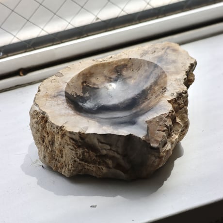 " OAK ” Petrified Wood Accessory Tray - S #408