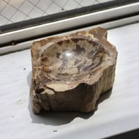" OAK ” Petrified Wood Accessory Tray - #436