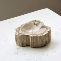 " OAK ” Petrified Wood Accessory Tray - S #431