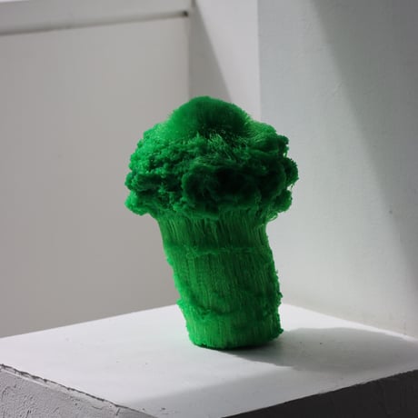 "Tact Inoue" Polybroccoli - L -  434g
