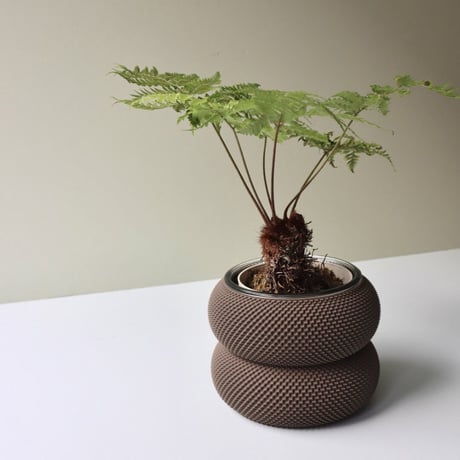 "Sheyn." Dorn 253g 1c Planter - Graphite -