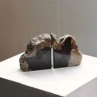 " OAK ” Petrified Wood Bookend - M #003